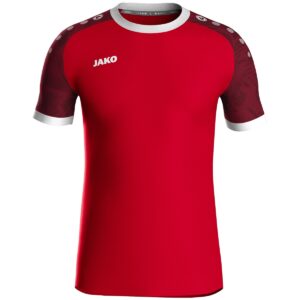 JAKO Jersey Iconic