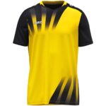 yellow/black