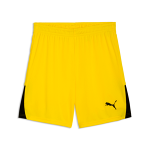 PUMA TEAMLIGA26 SHORTS