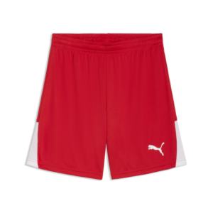 PUMA TEAMLIGA26 SHORTS