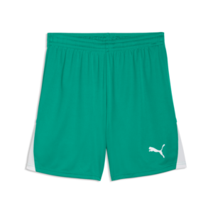 PUMA TEAMLIGA26 SHORTS