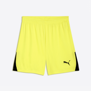 PUMA TEAMLIGA26 SHORTS